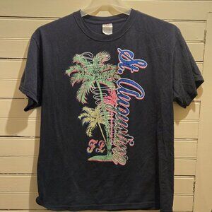 Fruit of the Loom Shirt Mens L St Augustine Florida Palm Trees Navy Tourist Tee